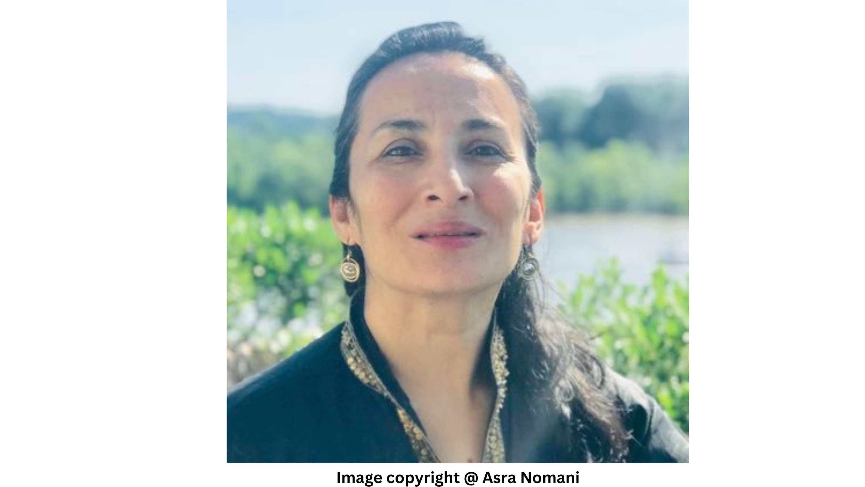 From journalist to leading activist, Asra Nomani